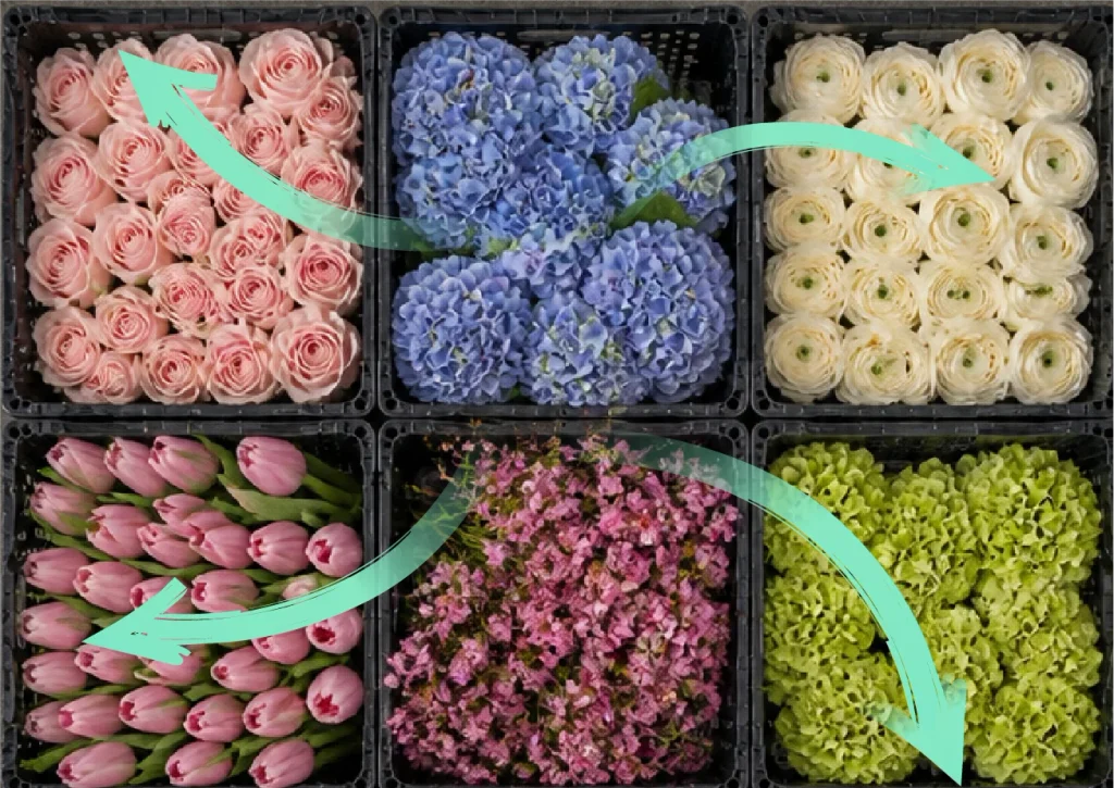 Arrows over a palette of brightly coloured flowers in crates and prepared for shipping, indicate airflow all around the products.